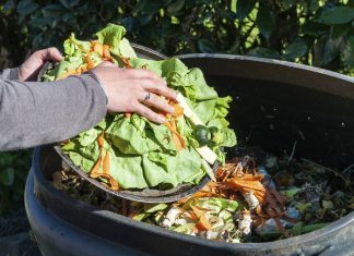 7 Receitas para Reaproveitar Alimentos e Economizar Dinheiro de Forma Efetiva