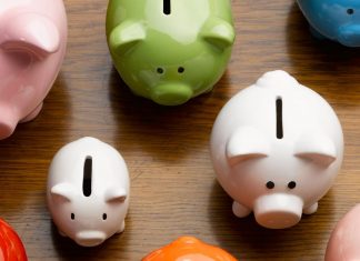Plantar Árvores é mais rentável do que investir dinheiro na Poupança!