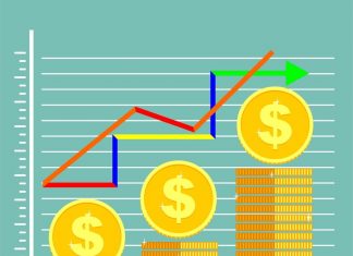Carteira de investimentos diversificada – 7 coisas que você precisa saber