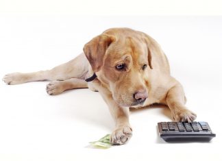 Controle Financeiro para quem tem Pets