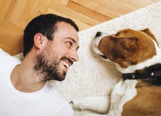 Aprenda sobre o controle financeiro com o animal de estimação