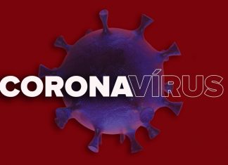 Veja 5 curiosidades do coronavírus que ninguém sabe