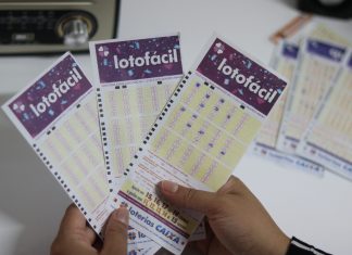 Descubra 5 aplicativos para ver os resultados da lotofacil