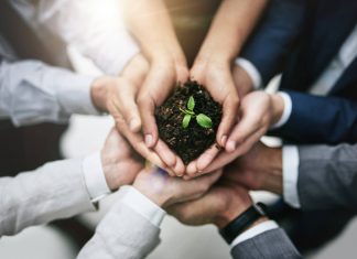 visão de sustentabilidade empresarial