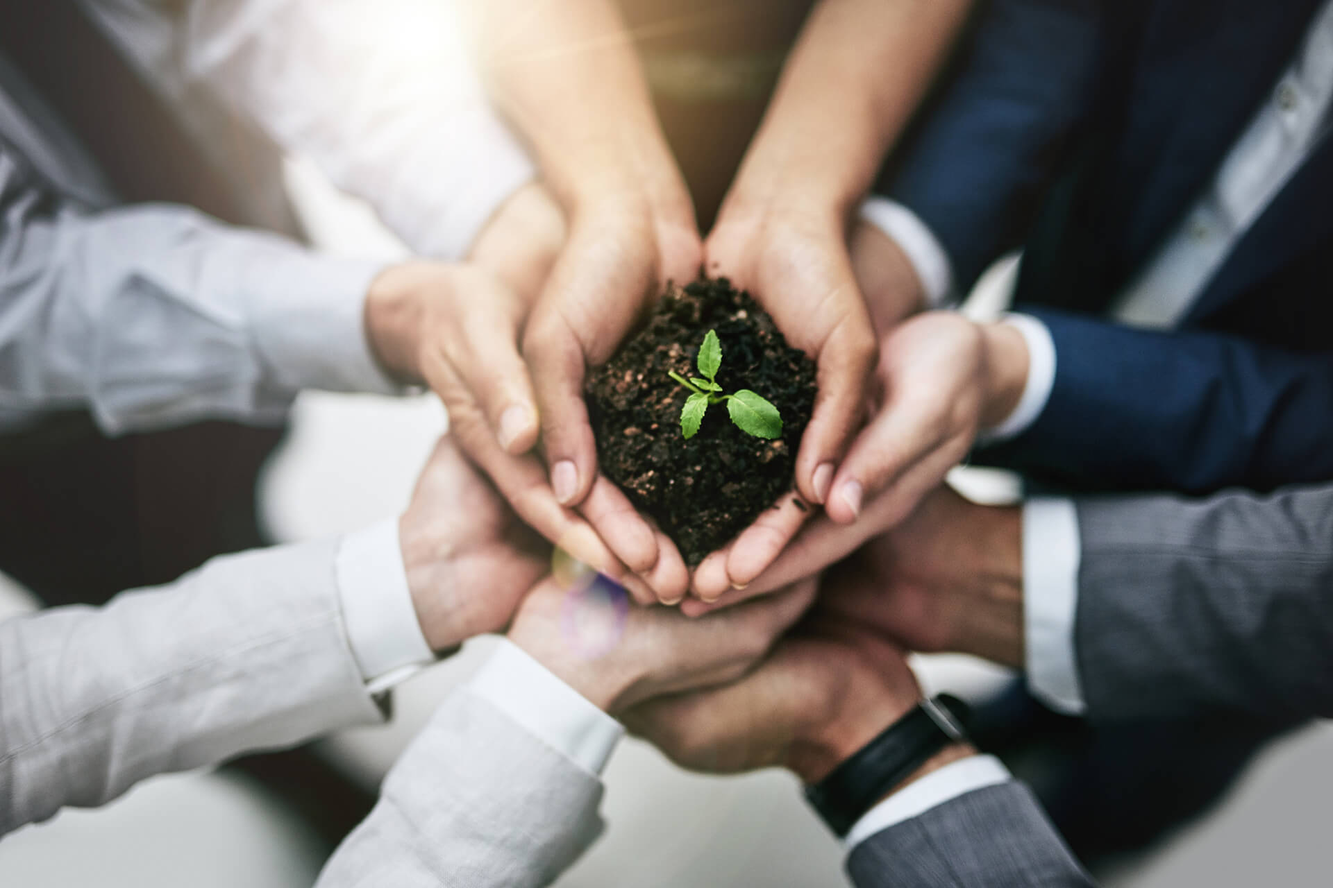 Aprenda Como Ter Uma Visão De Sustentabilidade Empresarial Com A Natura ...