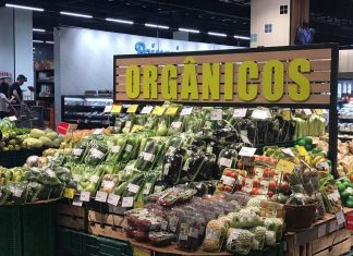 Veja uma ideia de negócio para o futuro – o mercado de alimentos orgânicos ideia de negócio para o futuro