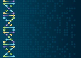 Descubra tudo sobre os fundos de investimentos DNA da XP Investimentos fundos de investimentos DNA da XP Investimentos