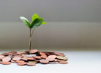 como usar os juros compostos para dobrar de capital