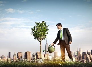 Saiba tudo sobre os tipos de rendimentos em investimentos