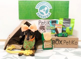 clubes de assinatura para pets