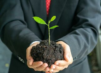empresas sustentáveis com ações na bolsa