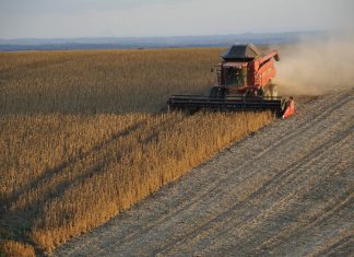 empresas de commodities na Bolsa