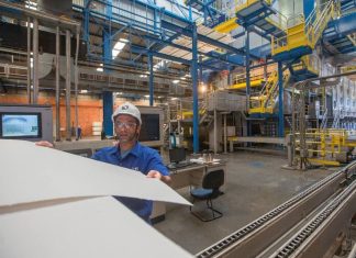 Descubra quais são as 7 empresas do setor de papel e celulose na bolsa empresas do setor de papel e celulose na bolsa