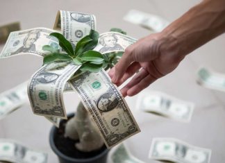 O que significa o dividend yield nos fundos imobiliários? Vamos descobrir dividend yield nos fundos imobiliários